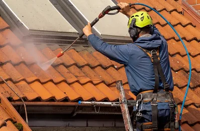 Démoussage et hydrofuge de toiture à Langesse